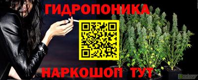 гидропоника Татарск